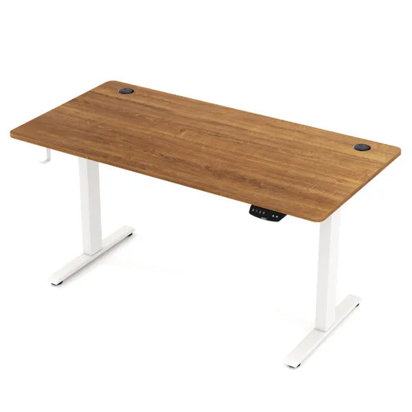 Walnut Desktop White Frame 55" Electric Standing Desk With Dual Motors, 3 Memory Settings Sit-Stand Desk For Home Office