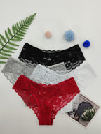 4 Pcs Women's Elegant Sheer Jacquard Lace Bikini Panties, Mid Stretch Low Waist Panties, Women's Lingerie & Underwear - VibraStore