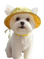 Pet Bucket Hat