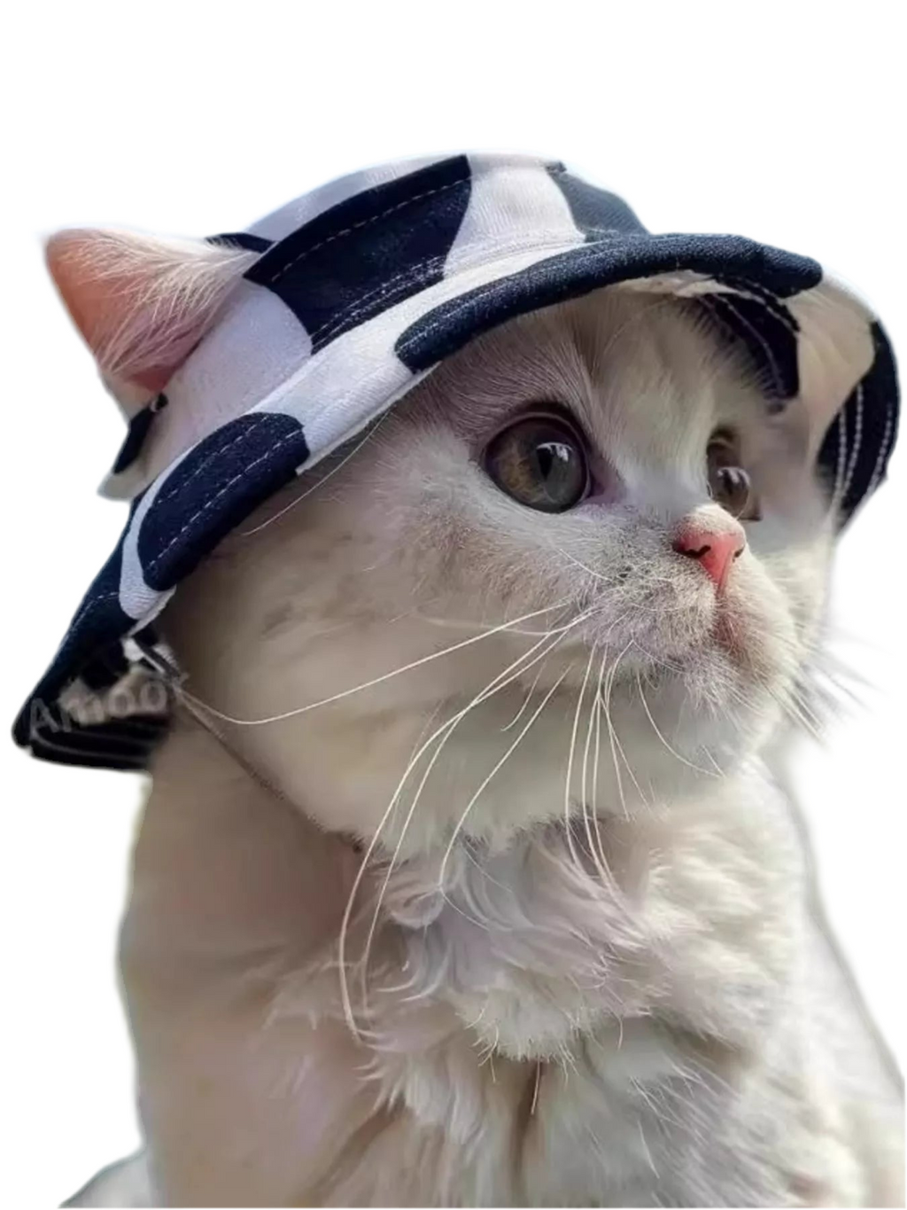 Pet Bucket Hat