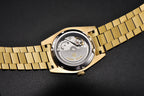2025 New PAGANI DESIGN Men's Watch DD36 Rose Gold Luxury Automatic Watch For Men Mechanical Wristwatches Sapphire Mirror Clock