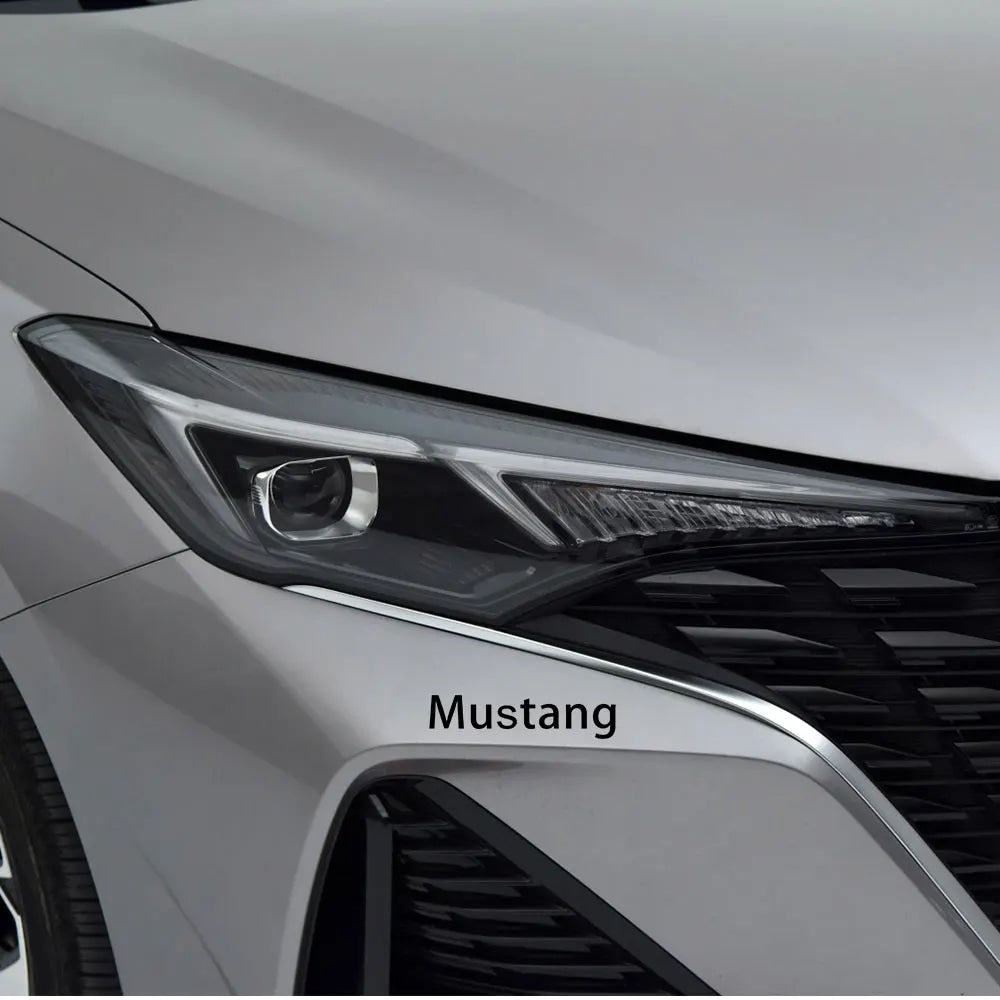 2pcs Car Emblem Stickers Window Body Trunk Badge Decoration Decal Accessories For Ford Focus Mustang Shelby Fiesta Kuga Fusion