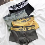 10Pcs/Set Men's Underwear High Stretch Boxer Shorts Breathable Soft Men's Shorts Comfortable Aisa Size L-4XL Men Briefs