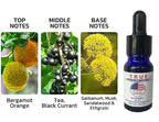 Perfume de feromonas fuerte para hombres, atrae las mujeres y aumentar la confianza, colonia de feromonas Sexy de larga duración para citas, noches, negocios