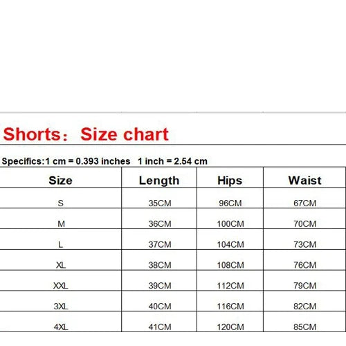 EVERLAST Men's Sports Shorts Summer Quick Dry Breathable Mesh Fitness Running Shorts Swimming Vacation Shorts