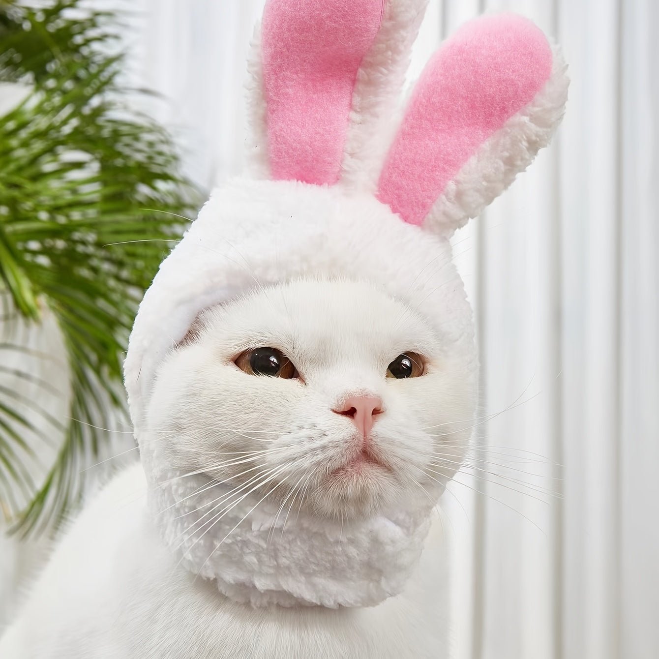 Adorable Rabbit Cat Headgear for Small Dogs & Cats - Perfect Pet Party Costume and Accessory - VibraStore