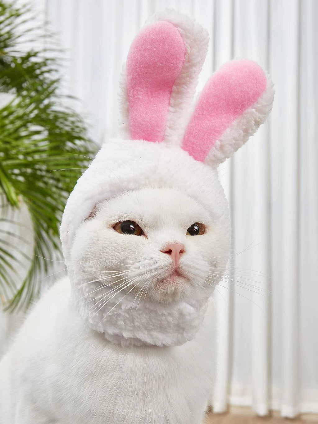 Adorable Rabbit Cat Headgear for Small Dogs & Cats - Perfect Pet Party Costume and Accessory - VibraStore