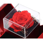 Fashion Jewelry Box Red Apple Christmas Gift Necklace Eternal Rose For Girl Mother's Day Valentine's Day Gifts With Artificial Flower Rose Flower Jewelry Box - VibraStore