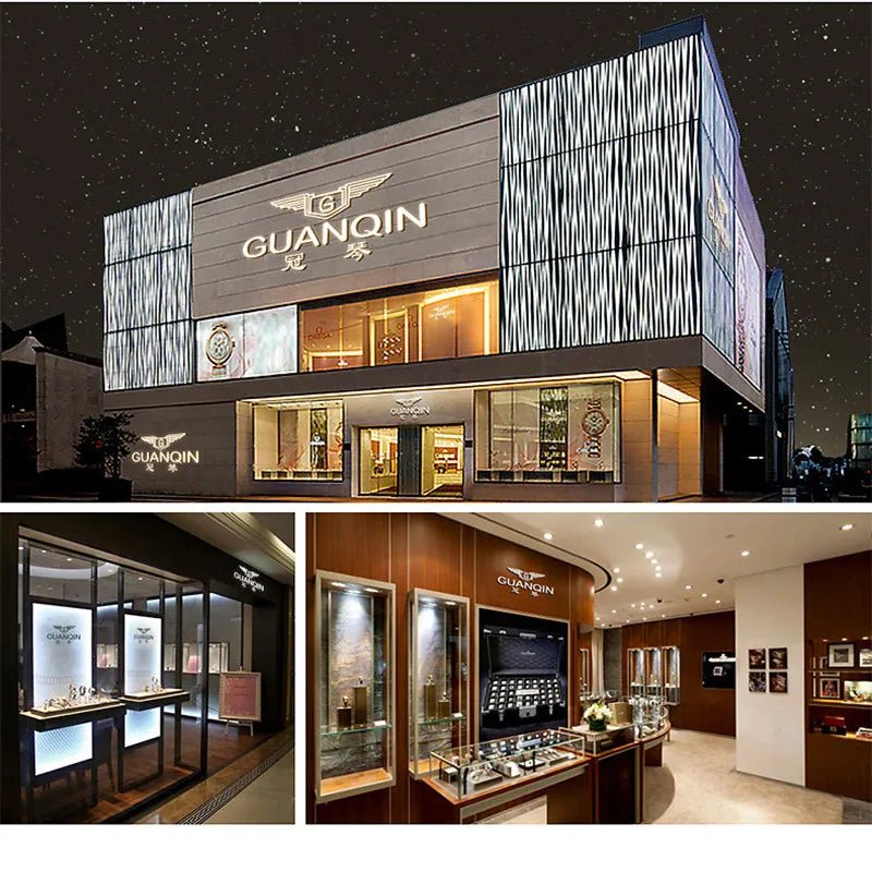 GUANQIN Mechanical Business Watch Men Luxury Brand Luminous Stainless Steel Strap Wrist Mens Automatic Watches Clock relogio BYR - VibraStore