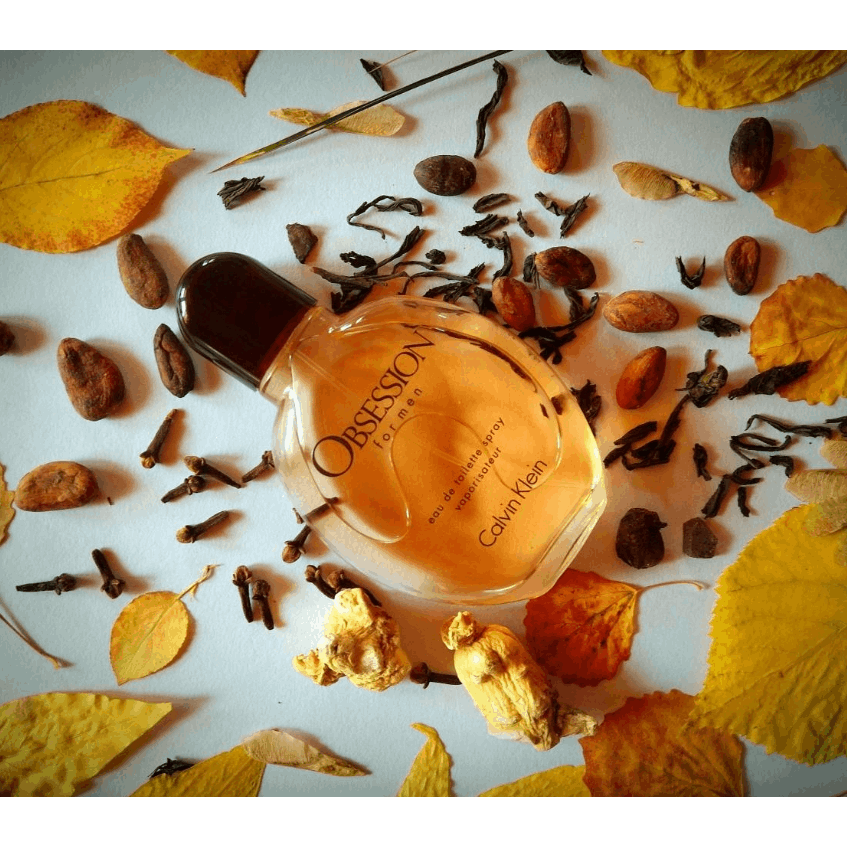 Men Perfume Cologne Obsession for Men by Calvin Klein EDT Spray, Long Lasting Oriental Woody fragrance - VibraStore