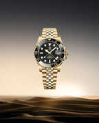 New PAGANI DESIGN PD - 1662 V5 Men Mechanical Watch Luxury Ceramic Bezel Automatic Watch 10bar Waterproof Sapphire Glass GMT Watch - VibraStore