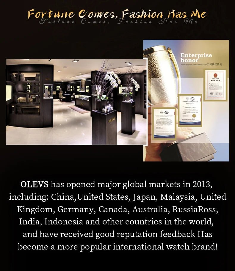 OLEVS Japan Automatic Mechanical Men's Watches High - end Luxury Brand Original Stainless Steel Hollowed Dragon Watch for Men 7027 - VibraStore