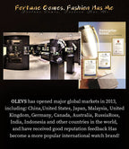 OLEVS Japan Automatic Mechanical Men's Watches High - end Luxury Brand Original Stainless Steel Hollowed Dragon Watch for Men 7027 - VibraStore