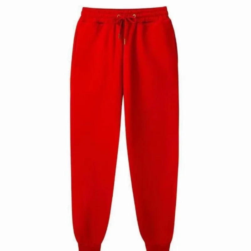 pantalones largos para hombre, pantalones de chándal informales de lana para otoño e invierno, pantalones deportivos suaves, pantalones para correr, 5 colores, S - 3XL - VibraStore