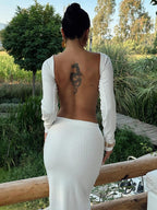 Women's Clothing Autumn Casual Long Sleeves Top Backless Slim Fit Long Skirt Suit - VibraStore
